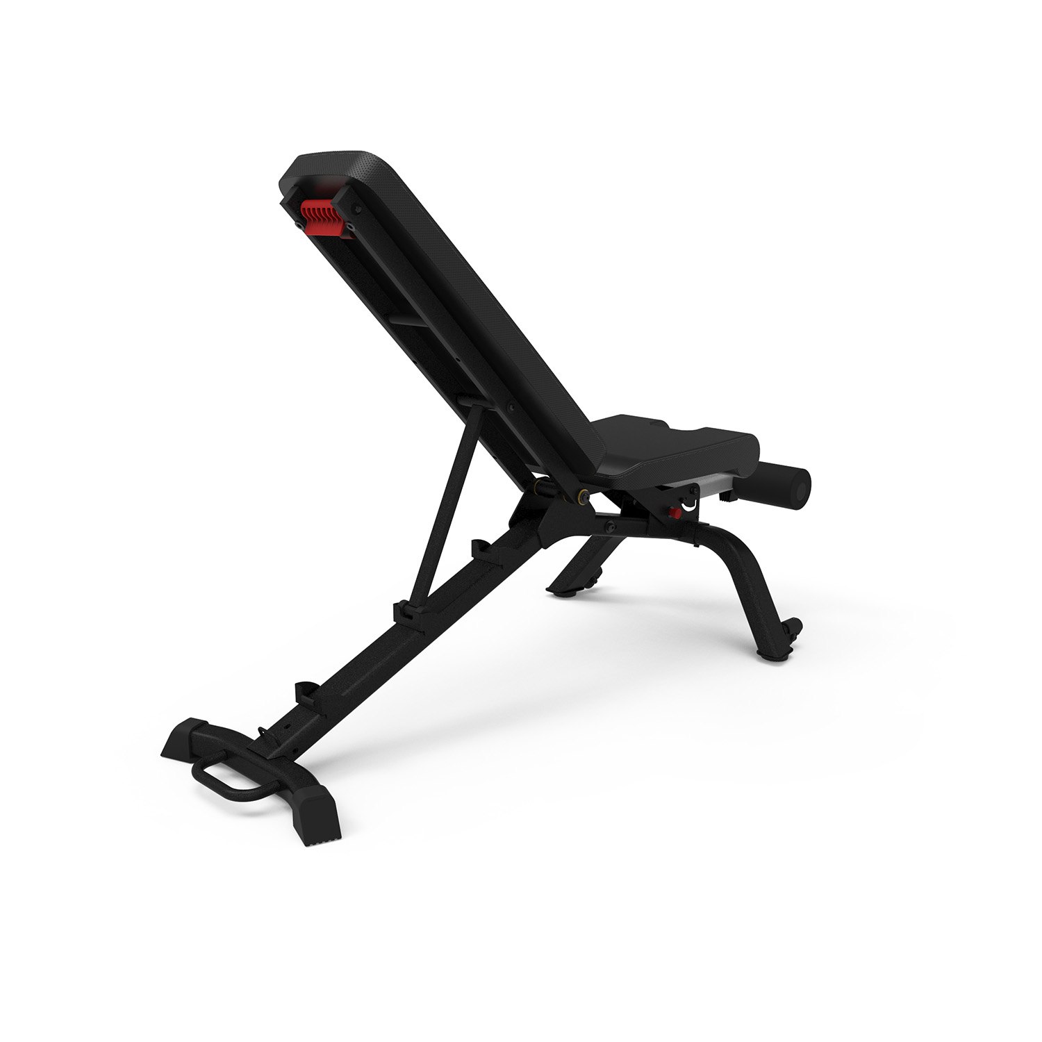 Bowflex 3.1S Stowable Utility Bench and 2-24kg SelectTech 552i ...