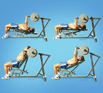 Powertec Workbench Leverage Multi Press