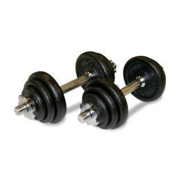 Body Power 20Kg Spinlock Dumbbell Set