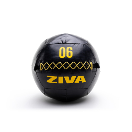 Ziva 6Kg Performance Wall Ball