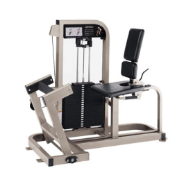 Life Fitness Pro 2 SE Horizontal Calf