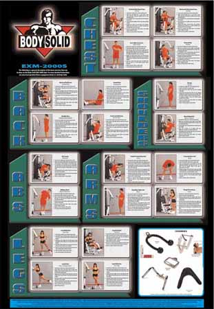 Body solid exercise chart sale