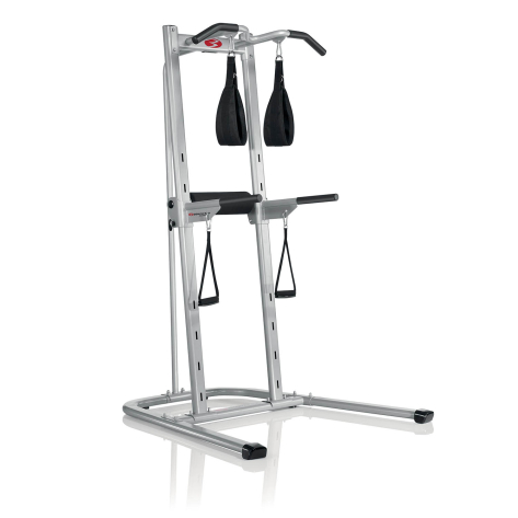 Bowflex Body Tower Vertical Knee Raise Dip Pull Up Station